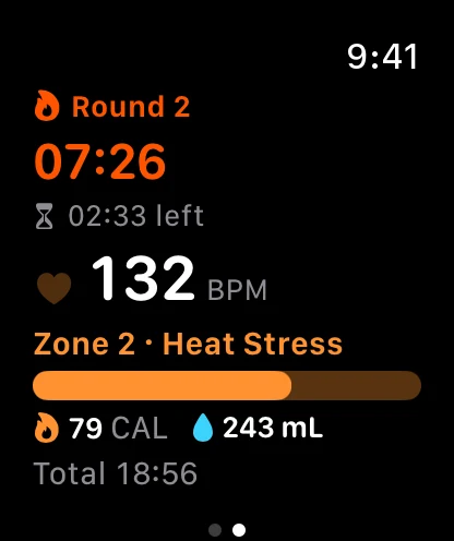 Sauna Metrics on Apple Watch